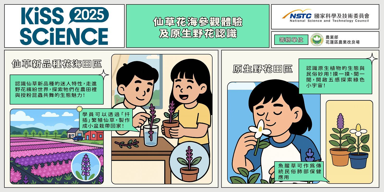  臺灣薰衣草 — 仙草花海參觀體驗及原生野花認識